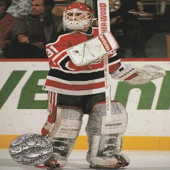 Chris Terreri Hockey Card Collection - Picture 3 of 6